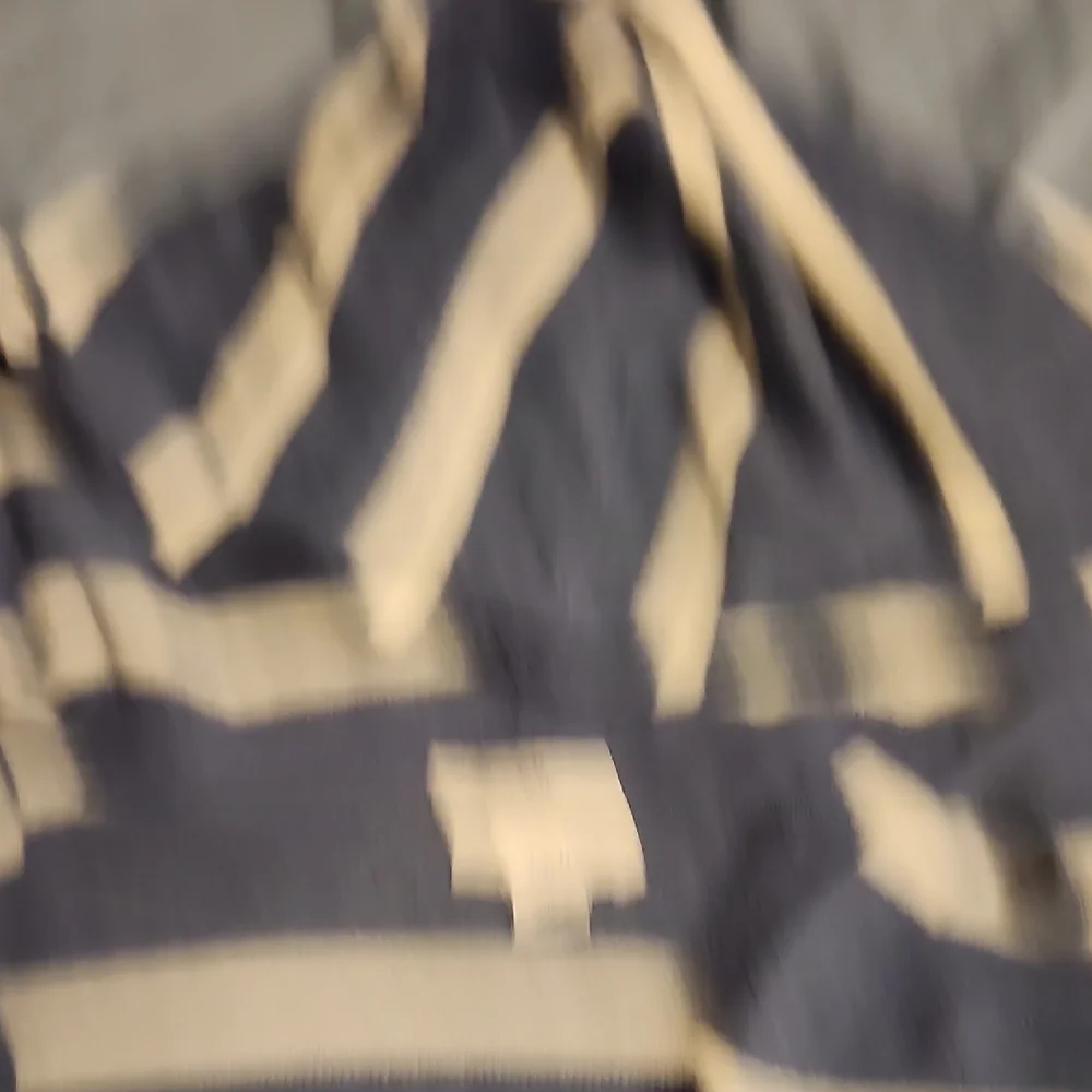 J. Jill Blue and Cream Striped Hoodie with Floral Embroidery - Picture 5 of 7